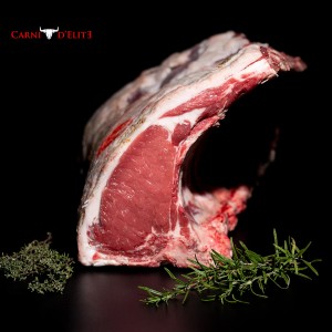1DX 2459 carni elete